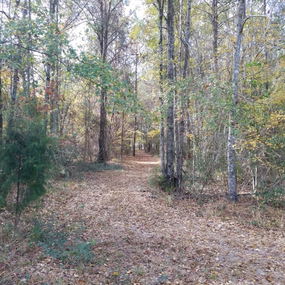 Meet your Posher, Jacqueline - Picture 2 of 3